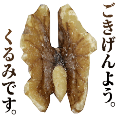 年中使える敬語くるみ