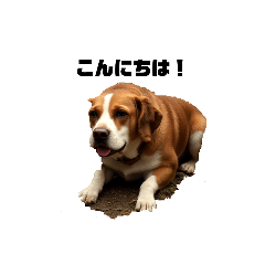 ソラのゆるかわ挨拶