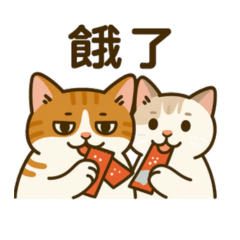 hlddssm-withoutbackground