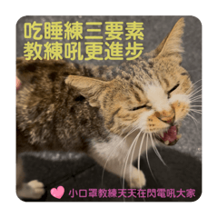 Elsa Tseng from Tainan_20251107173414