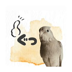 うちのインコちゃんず②