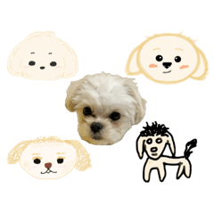 我が家のぽぽ似顔絵