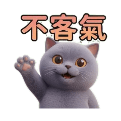 Momo's British Shorthair Cat Daily Life