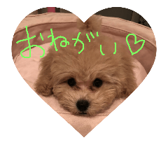 めいちゃの日常