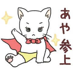 [あや専用]パンツねこ日和