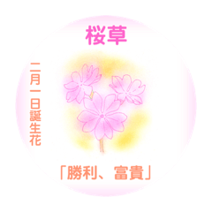 ２月、誕生日の花 花言葉つき
