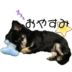 つぶらスタンプ