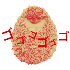 阿部さんちのはりねずみーず