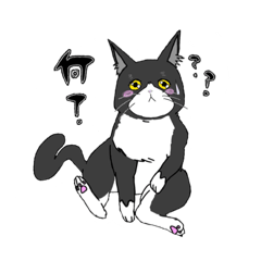 我が家のルルちゃん①