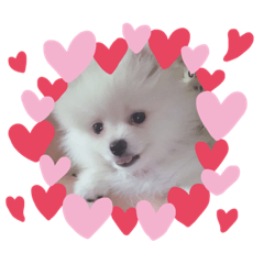 ましゅすたんぷ♡