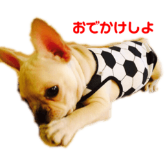 フレブル ポパイ君