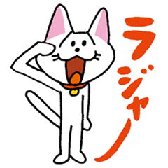 お茶目な白ニャンコ