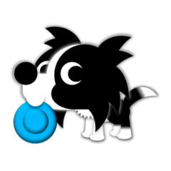 Penne the border collie