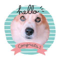 あいけんのうめ