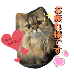 はっしーんちのぎょうちゃんスタンプ