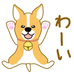 愛しのコーギー