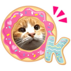 ほしちゃんちのねこ