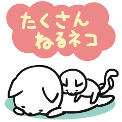 たくさん寝るネコ