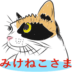 三毛猫さまはおしゃれなカワイイ