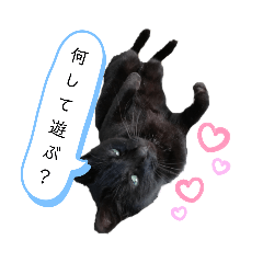 猫のからちゃんスタンプ