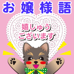 お嬢様語【ヨークシャーテリア】