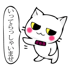 猫と猫執事ごっこ