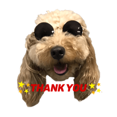 ダップーるなのスタンプ