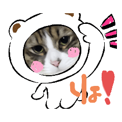 ねこねこの気持ち