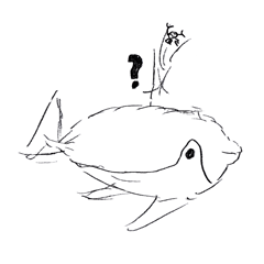 いるかあざらしスタンプ