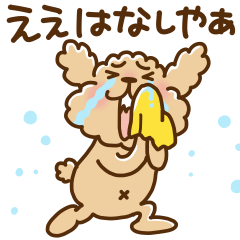 トイプーのぷう太郎 その９