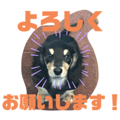 ルーカスのスタンプだよ！