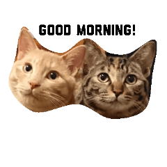 チョコとチップ