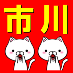 超★市川なネコ