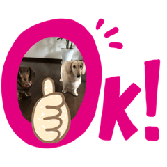 ダックスの仲間