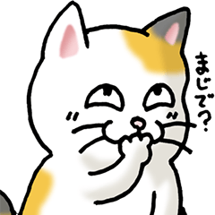 猫大好き！（大）その16