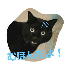Moto猫スタンプ１