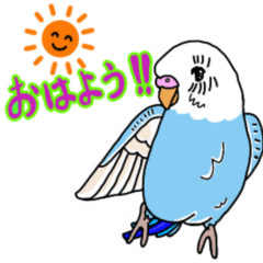 動く！カラフルセキセイインコちゃんズ