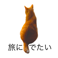 ちゃいろにゃん リアルver.