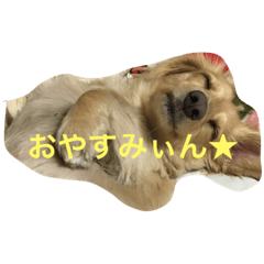 あいさつしたいよね