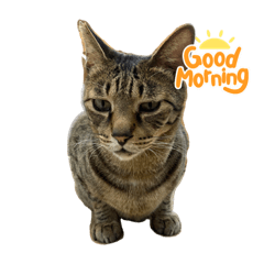 ササミ君とバカボン君2