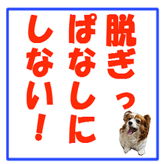 何度言っても変わらない、言葉のスタンプ