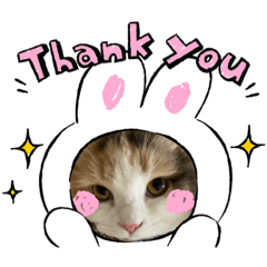 うちの子スタンプ　にゃんず