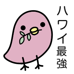 ハワイのピヨちゃん