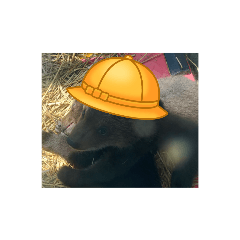 北海道の思い出