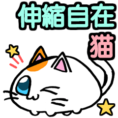 伸縮自在　猫