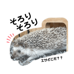 ハリネズミのむぎちゃん♪一言スタンプ