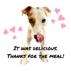 うちの子、えどわーど日常編