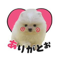 フィスドガレス１