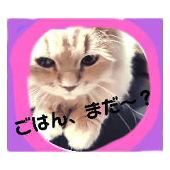 ゆず　の　まいにち