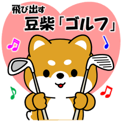 飛び出す豆柴「ゴルフ編」